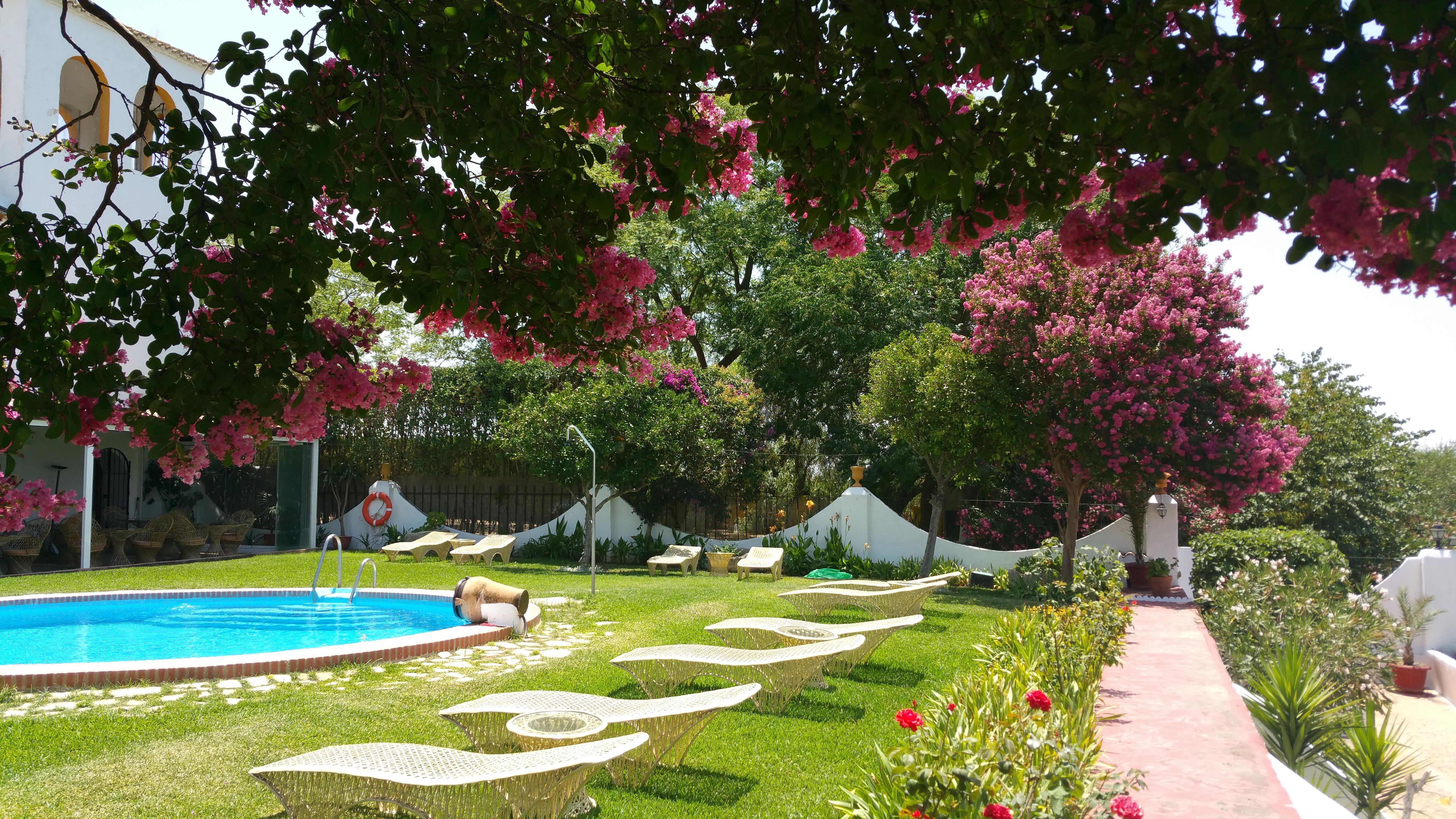 Hotel Hacienda El Santiscal Adults Only Arcos de la Frontera Exteriér fotografie
